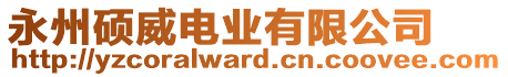 永州碩威電業(yè)有限公司