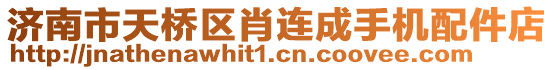 濟南市天橋區肖連成手機配件店