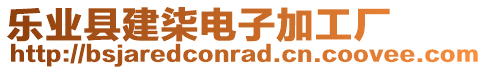 樂業(yè)縣建柒電子加工廠