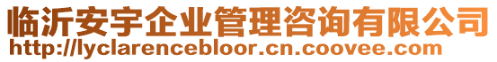 臨沂安宇企業管理咨詢有限公司