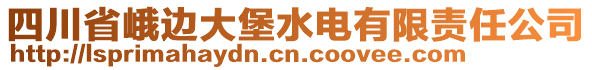 四川省峨邊大堡水電有限責任公司