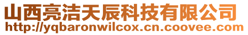 山西亮潔天辰科技有限公司