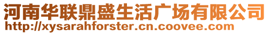 河南華聯(lián)鼎盛生活廣場(chǎng)有限公司