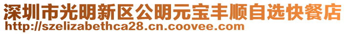 深圳市光明新区公明元宝丰顺自选快餐店