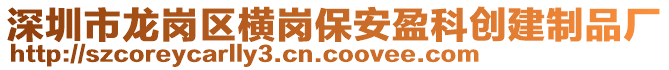 深圳市龍崗區(qū)橫崗保安盈科創(chuàng)建制品廠