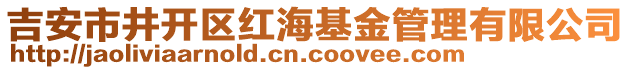 吉安市井開區紅海基金管理有限公司