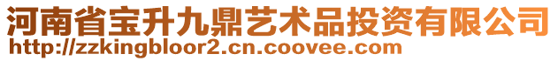 河南省寶升九鼎藝術(shù)品投資有限公司