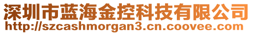 深圳市藍(lán)海金控科技有限公司