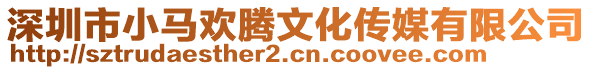 深圳市小馬歡騰文化傳媒有限公司