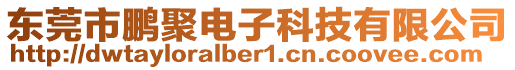 東莞市鵬聚電子科技有限公司