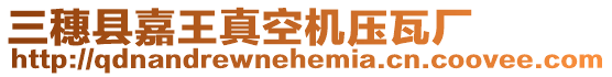 三穗縣嘉王真空機(jī)壓瓦廠