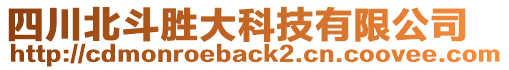 四川北斗勝大科技有限公司