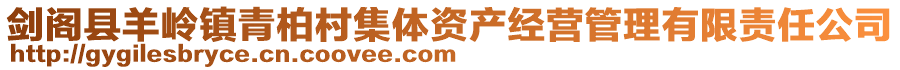 劍閣縣羊嶺鎮(zhèn)青柏村集體資產(chǎn)經(jīng)營(yíng)管理有限責(zé)任公司