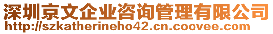 深圳京文企業(yè)咨詢管理有限公司