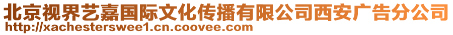 北京視界藝嘉國際文化傳播有限公司西安廣告分公司