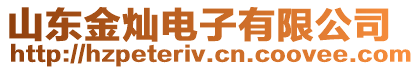 山東金燦電子有限公司