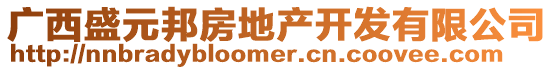廣西盛元邦房地產(chǎn)開發(fā)有限公司