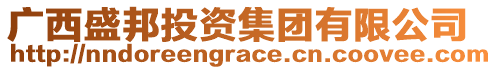 廣西盛邦投資集團(tuán)有限公司
