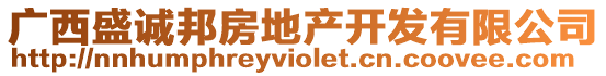 廣西盛誠邦房地產(chǎn)開發(fā)有限公司