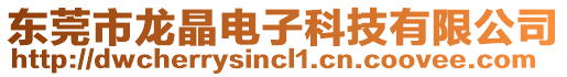 東莞市龍晶電子科技有限公司