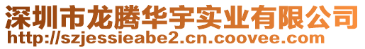 深圳市龍騰華宇實業有限公司