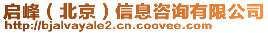 啟峰(北京)信息咨詢有限公司
