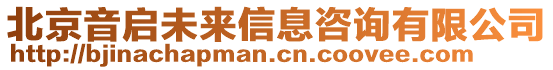 北京音啟未來信息咨詢有限公司