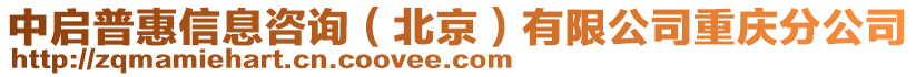 中啟普惠信息咨詢（北京）有限公司重慶分公司