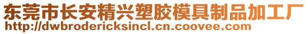 東莞市長安精興塑膠模具制品加工廠