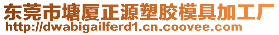 東莞市塘廈正源塑膠模具加工廠