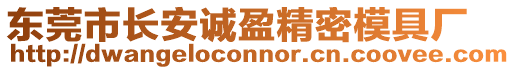 東莞市長安誠盈精密模具廠