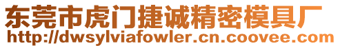 東莞市虎門捷誠精密模具廠