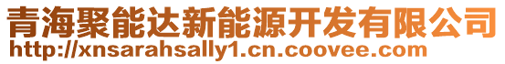 青海聚能達(dá)新能源開發(fā)有限公司