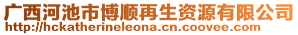 廣西河池市博順再生資源有限公司