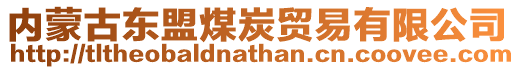 內(nèi)蒙古東盟煤炭貿(mào)易有限公司