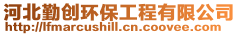 河北勤創(chuàng)環(huán)保工程有限公司