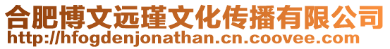 合肥博文遠(yuǎn)瑾文化傳播有限公司