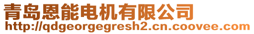 青島恩能電機有限公司