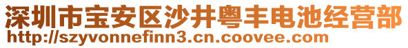 深圳市寶安區(qū)沙井粵豐電池經(jīng)營部