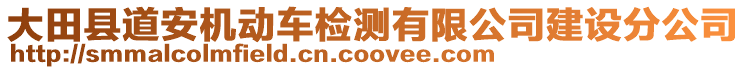 大田县道安机动车检测有限公司建设分公司