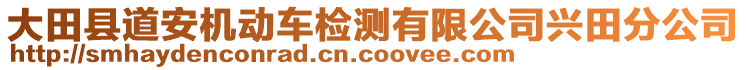 大田县道安机动车检测有限公司兴田分公司