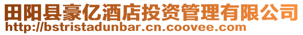 田陽縣豪億酒店投資管理有限公司