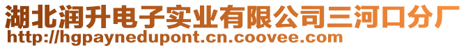 湖北潤升電子實(shí)業(yè)有限公司三河口分廠