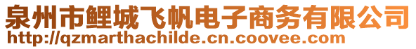 泉州市鯉城飛帆電子商務(wù)有限公司