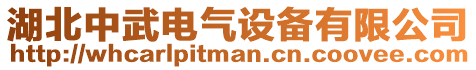 湖北中武電氣設(shè)備有限公司