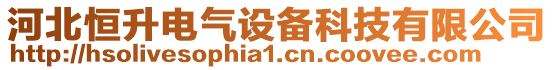 河北恒升電氣設備科技有限公司