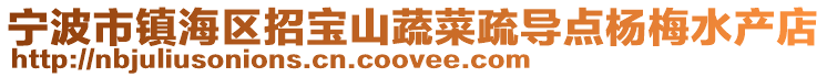 寧波市鎮(zhèn)海區(qū)招寶山蔬菜疏導(dǎo)點(diǎn)楊梅水產(chǎn)店