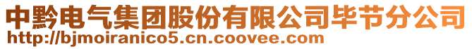 中黔電氣集團股份有限公司畢節分公司