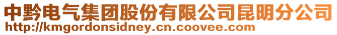 中黔電氣集團股份有限公司昆明分公司
