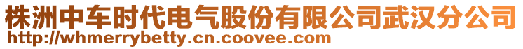 株洲中車時代電氣股份有限公司武漢分公司